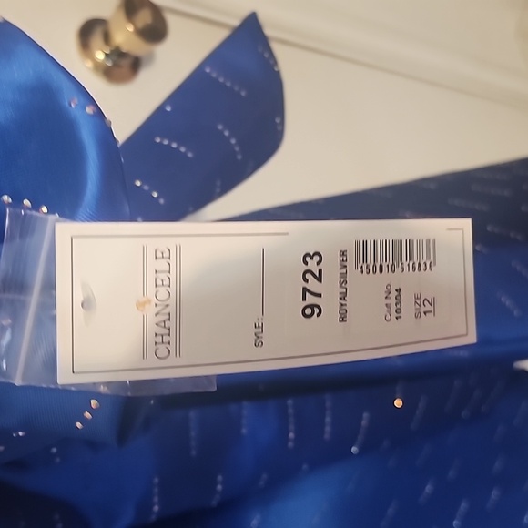 Chancele Cape/Dress - Picture 8 of 10